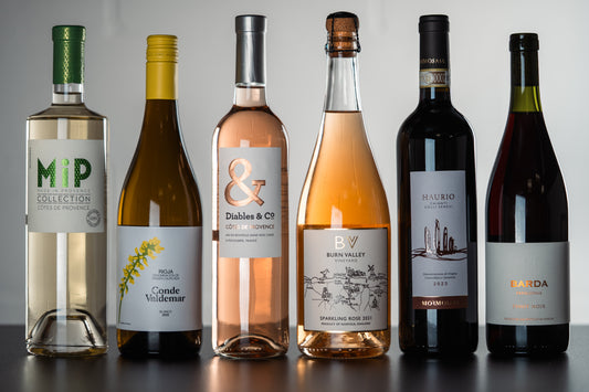 WINESLUT INTRO 6-pack wine bundle with assorted bottles, perfect for wine tasting and gifting.