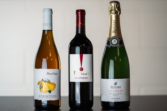 Discover Italy (3 Pack) - WINESLUT - Wine Bundles