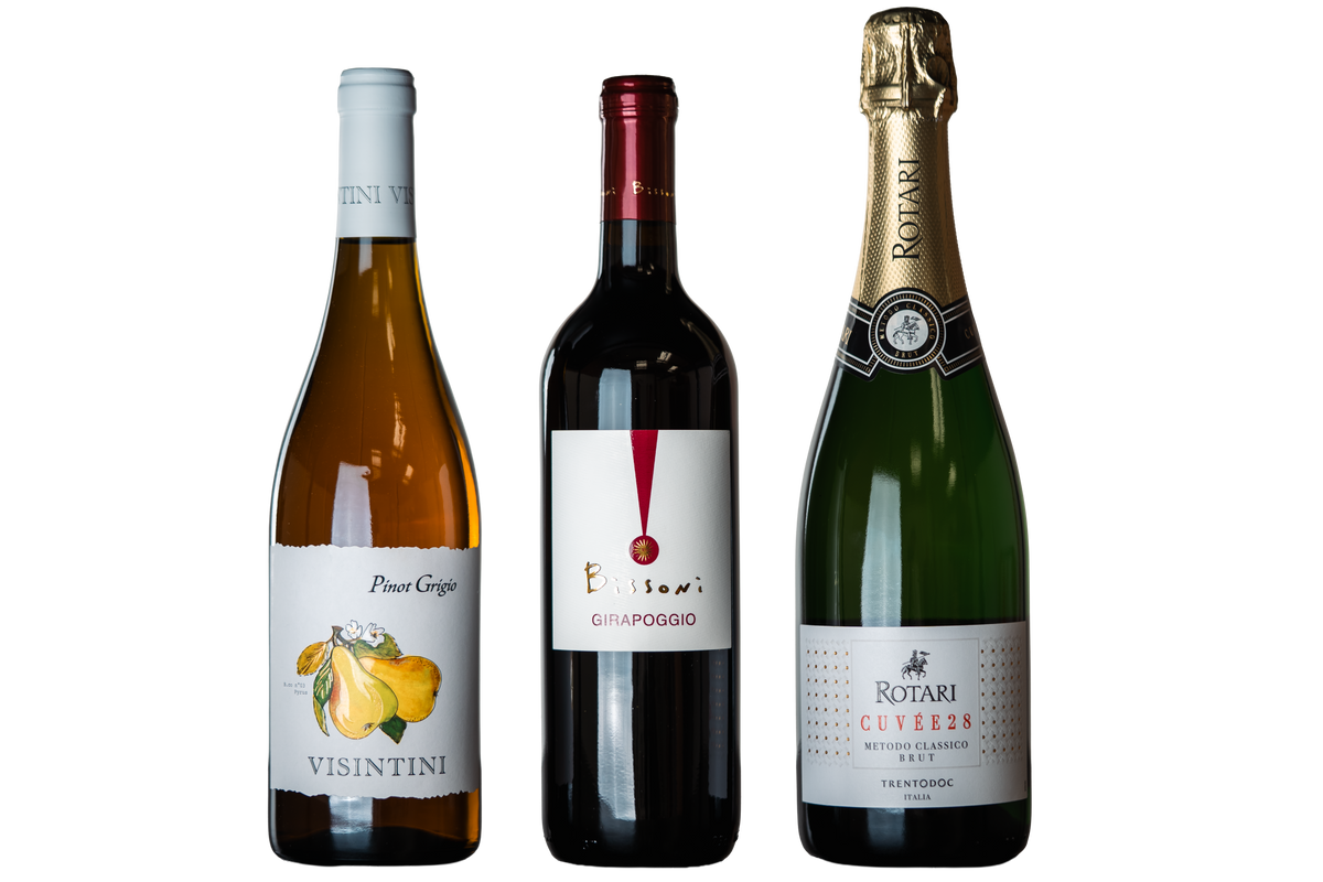 Discover Italy (3 Pack) - WINESLUT - Wine Bundles
