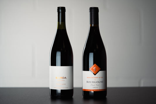 Two Take Noir (2 Pack) - WINESLUT - Wine Bundles