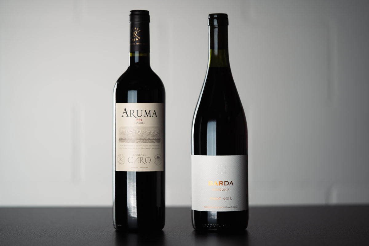Argentina Duo (2 Pack) - WINESLUT - Wine Bundles