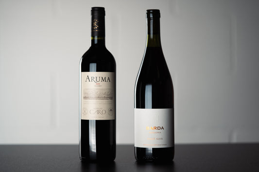 Argentina Duo (2 Pack) - WINESLUT - Wine Bundles
