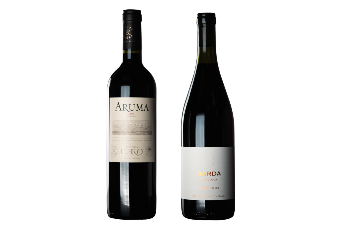 Argentina Duo (2 Pack) - WINESLUT - Wine Bundles