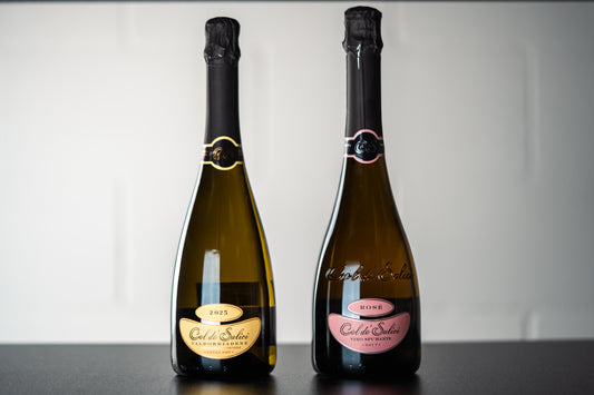 Prosecco Pair (2 Pack) - WINESLUT - Wine Bundles