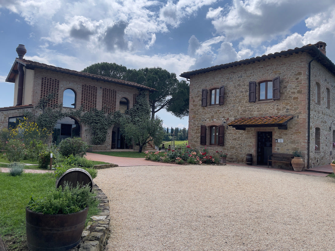 Mormoraia: Organic Wine from the Hills of San Gimignano