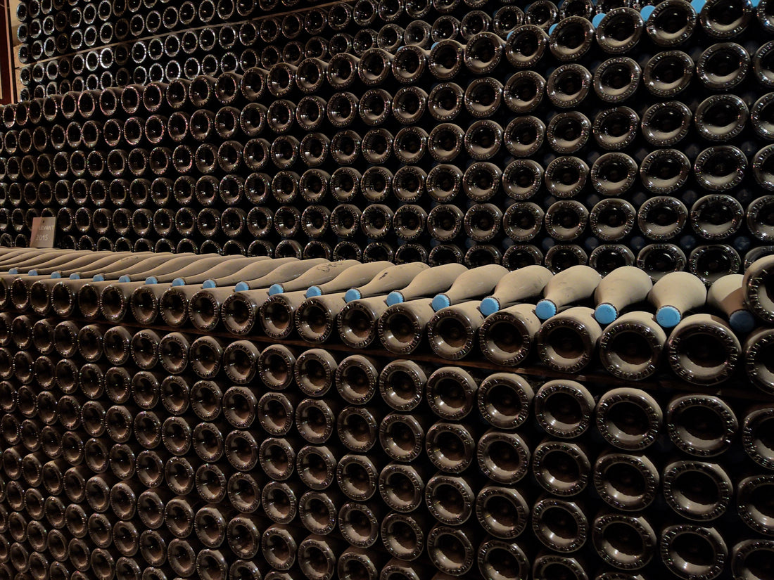 Larmandier Bernier: Biodynamic Champagne with a Sense of Place