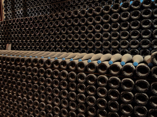Larmandier Bernier: Biodynamic Champagne with a Sense of Place