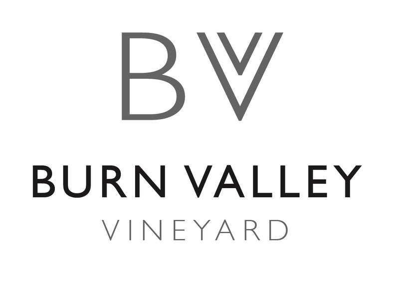 Burn Valley Vineyard logo with a stylized 'BV' monogram above the words 'BURN VALLEY VINEYARD' on a white background.