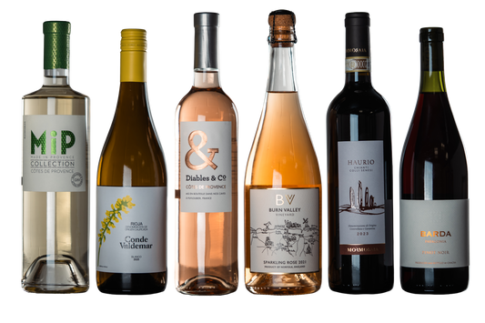 Wineslut Intro (6-Pack) - WINESLUT - Wine Bundles