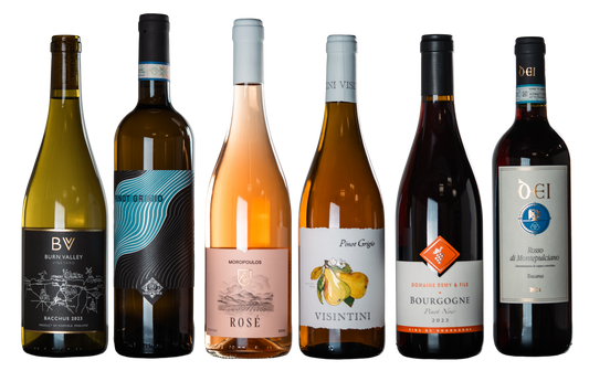 Pizza Party (6-Pack) - WINESLUT - Wine Bundles