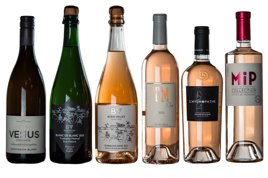 Hot Girl Summer (6 Pack) - WINESLUT - Wine Bundles
