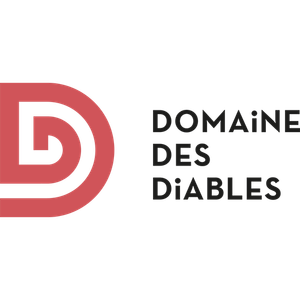 Domaine des Diables logo featuring a red stylized 'D' emblem and black text on a white background.